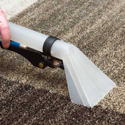 Carpet care | Luna Flooring Gallery