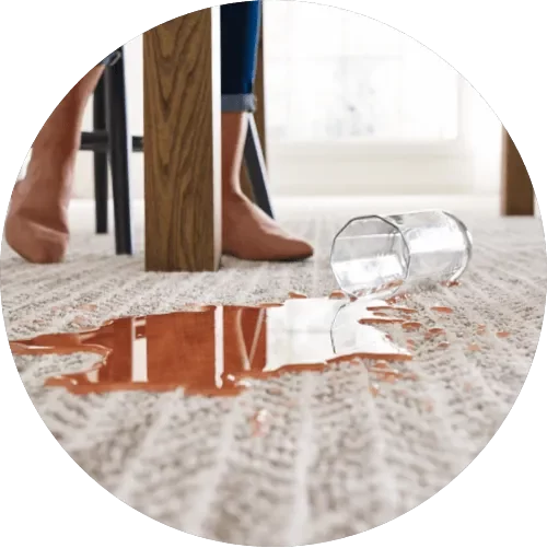 CarpetSpillsStains (1)